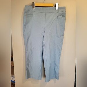 Reitmans Soft Blue Capris, Size 14